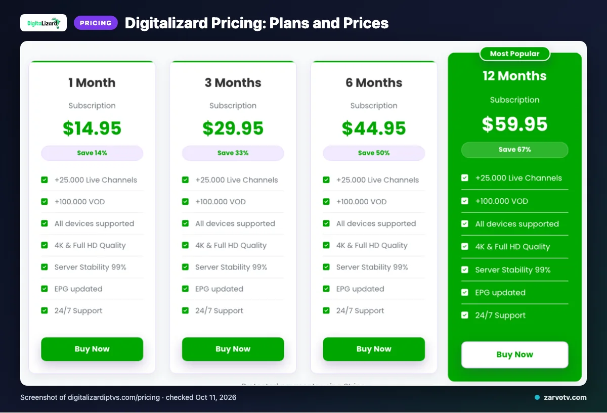 Digitalizard pricing page listing 1 Month, 3 Months, 6 Months, 12 Months plans